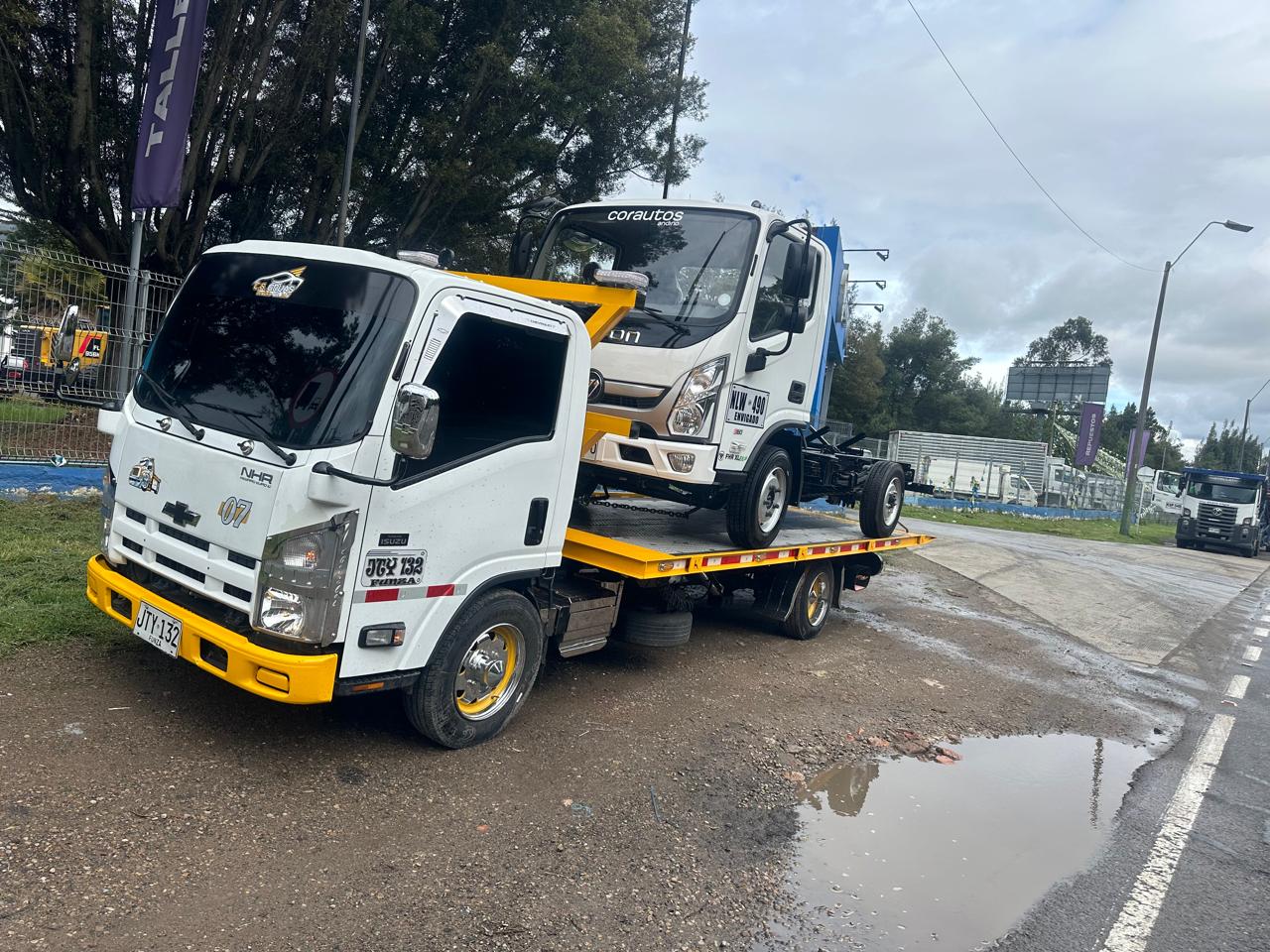 jdl gruas Pereira